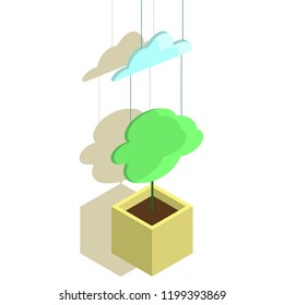 Potted plant in isometry. 3D isometric. Cloud and potted plant on a string. Vector illustration. Isolated on white.