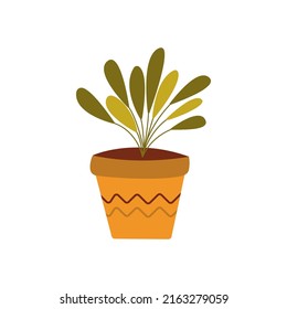 Potted plant, leafy flower. Single colorful illustration vector hand drawn. Houseplant in a flowerpot