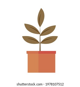 potted plant leaves isolated icon