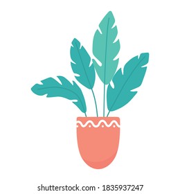 potted plant leaves nature decoration isolated design white background vector illustration