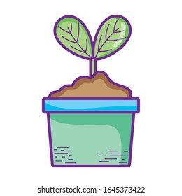 potted plant leaves natute growth foliage vector illustration