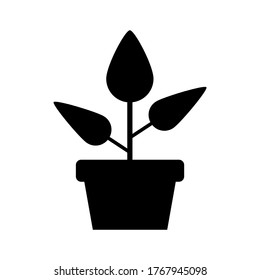Plantas potentadas con hojas icono vector o logotipo símbolo de signo aislado ilustración vectorial - iconos vectoriales de estilo negro de alta calidad
