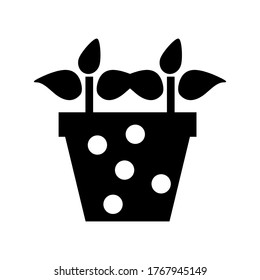 Potted plant with leaves vector icon or logo isolated sign symbol vector illustration - high quality black style vector icons
