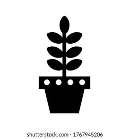 Potted plant with leaves vector icon or logo isolated sign symbol vector illustration - high quality black style vector icons
