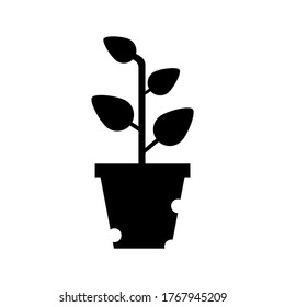 Potted plant with leaves vector icon or logo isolated sign symbol vector illustration - high quality black style vector icons
