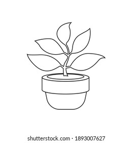 Vector de icono de línea de planta protegida