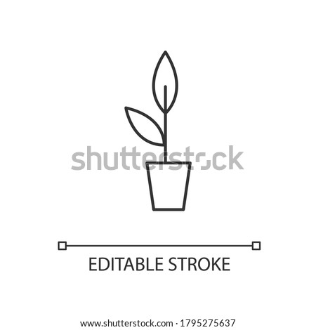 Potted plant linear icon. Growing sprout. Foliage for office. Decoration for house interior. Thin line customizable illustration. Contour symbol. Vector isolated outline drawing. Editable stroke