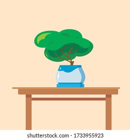 potted plant on the Desk