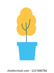 potted plant on white background