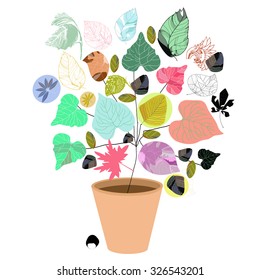 Potted plant on a white background.