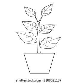 Potted Plant Outline Vector Illustration,isolated On White Background,top View