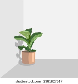 A potted plant is placed in the corner of the room.vector