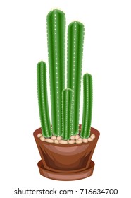 Potted plant in a pot. A few greens of branches of a succulent, a cactus. High vertical stems with facets and spines. Lovely hobby for collectors of cacti. Vector illustration.