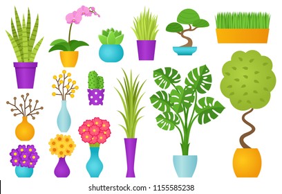 Potted plant in pot. Vector. Indoor flowers in flat design isolated on white background. Houseplant set. Cartoon animated colorful illustration with icons orchid, bonsai, sansevieria etc.