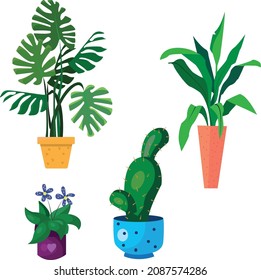 Potted plant set. Decorative plant container with mixed plants, monstera leaf, cactus, flowers, vector set
