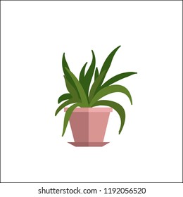 Potted Plant Set Vector
