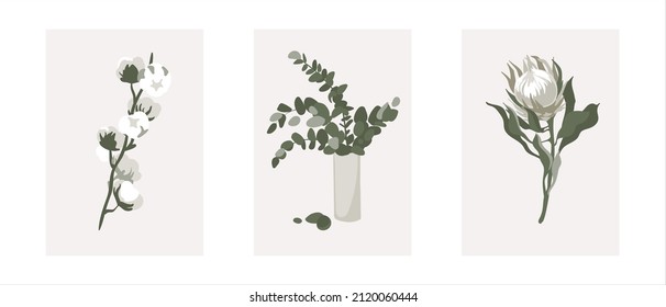 Vector de conjunto de plantas en potencia que incluye: Flor de algodón, eucalipto, flor Protea.  Chalets de estilo moderno. Conjunto de hermosas decoraciones de la casa. Ilustración del vector aislada en blanco