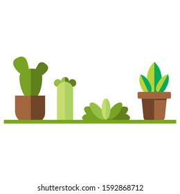 potted plant set vector for indoor home and modern style houseplants
