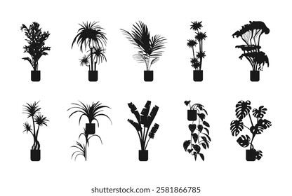 Potted plant silhouette vector illustration set. Indoor plants