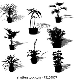 Potted plant silhouettes and reflection over white background