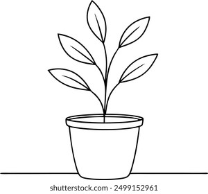 A potted plant sits on a table. The plant is a small, leafy green plant with a stem. The pot is white and sits on a white background