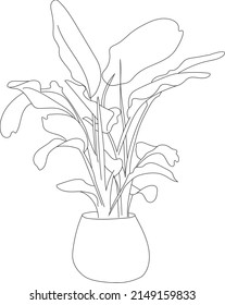 Potted plant sketch line art illustration.
Vector big leaves tropical house plant. 