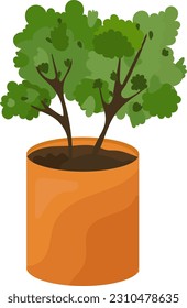 potted plant, small growing tree in a orange pot