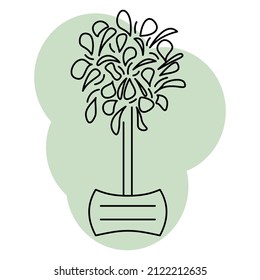 A potted plant. Spherical crown, small leaves, high trunk. Houseplant for home and office. Vector icon, green abstract background, contour, isolated