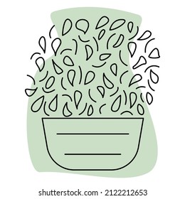 A potted plant. Spherical crown, small leaves. Houseplant for home and office. Vector icon, green abstract background, contour, isolated