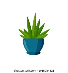 Potted plant. Succulent plant in cartoon style. Vector illustration isolated on white background