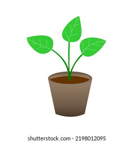 Potted plant with three leaves vector illustration