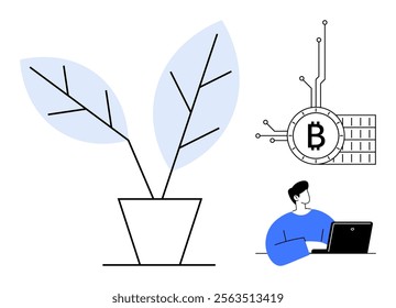 A potted plant with two large leaves, a Bitcoin symbol, and a person working on a laptop. Ideal for themes like cryptocurrency, technological growth, digital economy, innovation, and sustainability