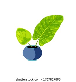 Potted plant for urban jungle, green home decor. Flat cartoon style design. Vector illustration isolated on white background.