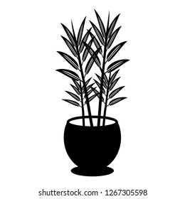 potted plant vector