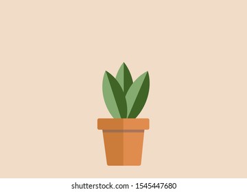 Potted Plant vector,  plant or home flower in a pot in modern flat style. flower isolated.Hygge potted succulent plant. Cozy lagom scandinavian style plant image