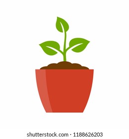 Potted plant vector icon
