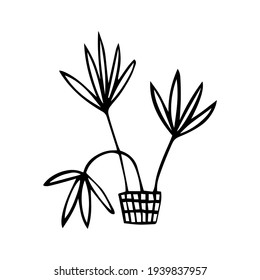 potted plant. Vector icon of a hand-drawn room palm. Isolated on a white background. 