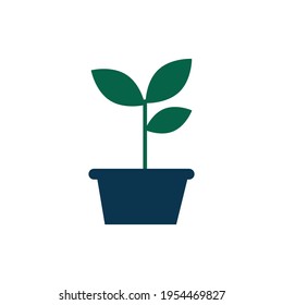 potted plant vector icon isolated on white background