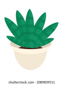 icono de vector de planta aislado