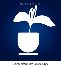 potted plant vector illustration