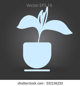 potted plant vector illustration