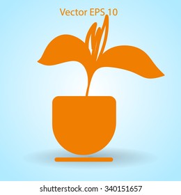 potted plant vector illustration