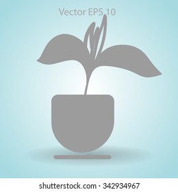 potted plant vector illustration
