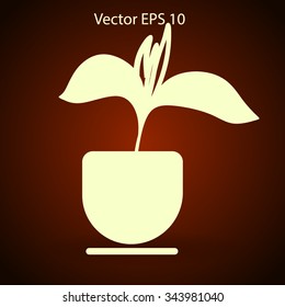 potted plant vector illustration