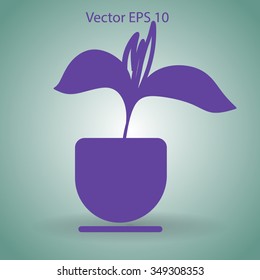 potted plant vector illustration