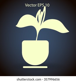 potted plant vector illustration