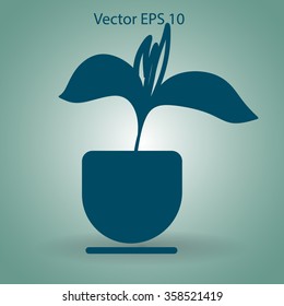 potted plant vector illustration