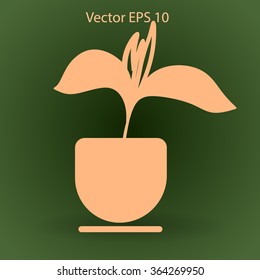 potted plant vector illustration