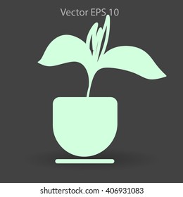 potted plant vector illustration