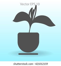 potted plant vector illustration